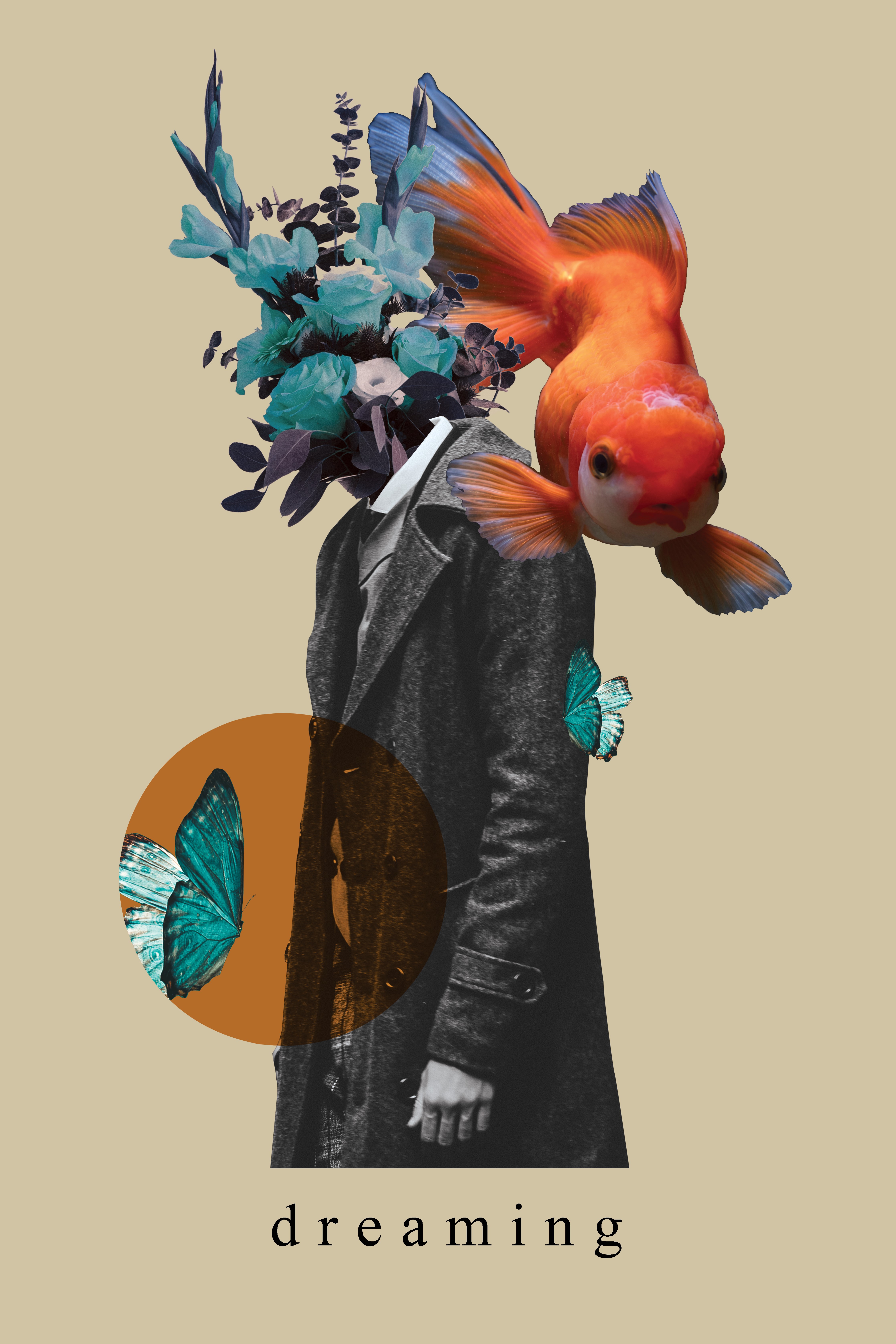 Image du projet